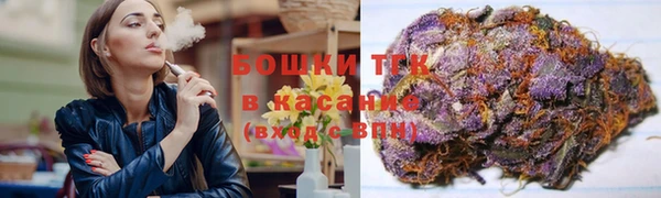 ПСИЛОЦИБИНОВЫЕ ГРИБЫ Абаза