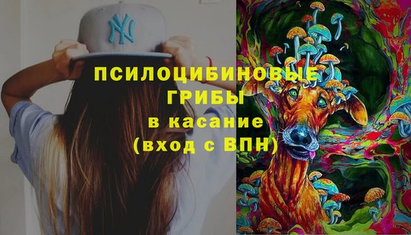 2c-b Абдулино