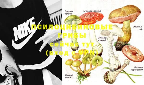 ПСИЛОЦИБИНОВЫЕ ГРИБЫ Абаза