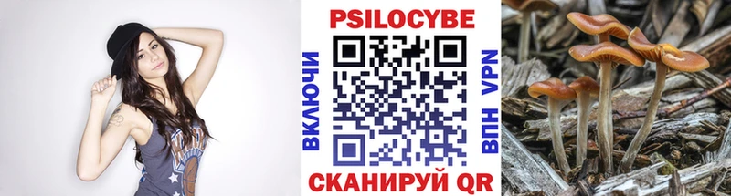 Галлюциногенные грибы Magic Shrooms  Норильск 